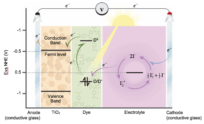 Mechanism of DSSC